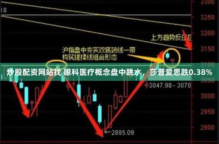 炒股配资网站找 眼科医疗概念盘中跳水，莎普爱思跌0.38%