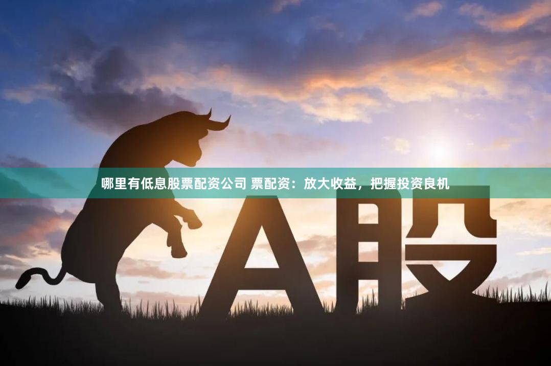 哪里有低息股票配资公司 票配资：放大收益，把握投资良机